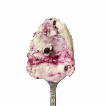 Lody o smaku Solony kokos z czarną porzeczką