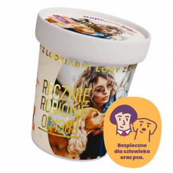 Lody o smaku Jabłko & Marchew