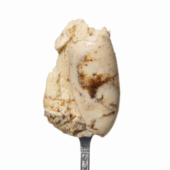 Lody mleczne o smaku ciastka z pomarańczą          i kremu orzechowo-kakaowego